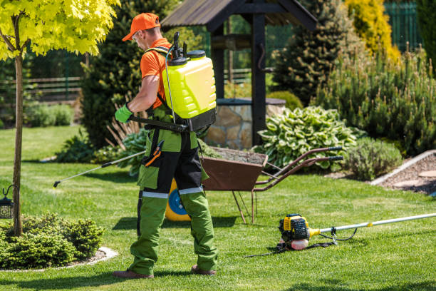 Lawn Pest Control in Despard, WV